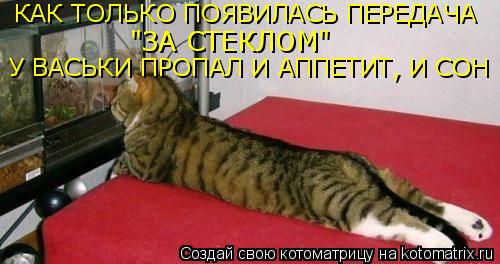 КАК ТОЛЬКО ПОЯВИЛАСЬ ПЕРЕДАЧА "ЗА СТЕКЛОМ" У ВАСЬКИ ПРОПАЛ И АППЕТИТ, И СОН... Котоматрица: КАК ТОЛЬКО ПОЯВИЛАСЬ ПЕРЕДАЧА "ЗА СТЕКЛОМ" У ВАСЬКИ ПРОПАЛ И АППЕТИТ, И СОН