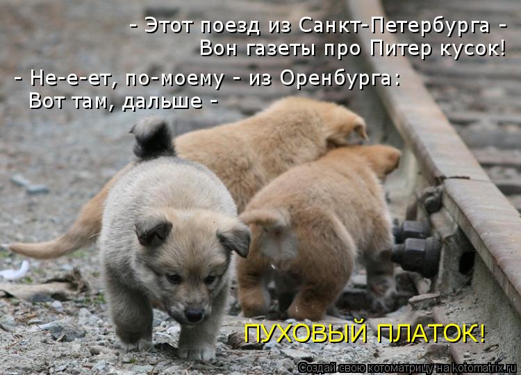 - Этот поезд из Санкт-Петербурга - Вон газеты про Питер кусок! - Не-е-ет, по-моему - из Оренбурга: ... Котоматрица: - Этот поезд из Санкт-Петербурга - Вон газеты про Питер кусок! - Не-е-ет, по-моему - из Оренбурга: Вот там, дальше - ПУХОВЫЙ ПЛАТОК!
