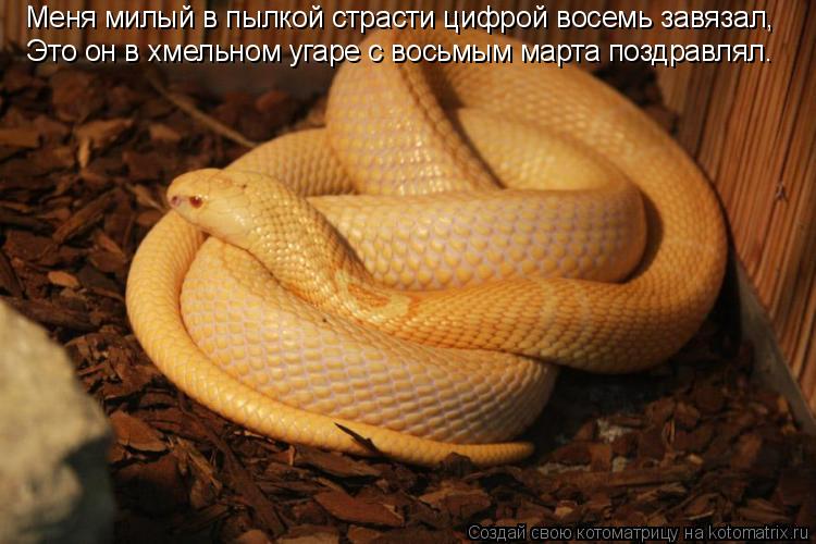 Посмеялся сам - поделись с другом!!!