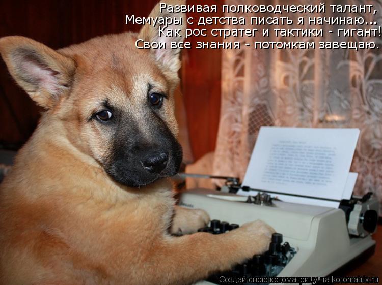 Развивая полководческий талант, Мемуары с детства писать я начинаю... Как рос стратег и тактики - гиг... Котоматрица: Развивая полководческий талант, Мемуары с детства писать я начинаю... Как рос стратег и тактики - гигант! Свои все знания - потомкам завещаю.