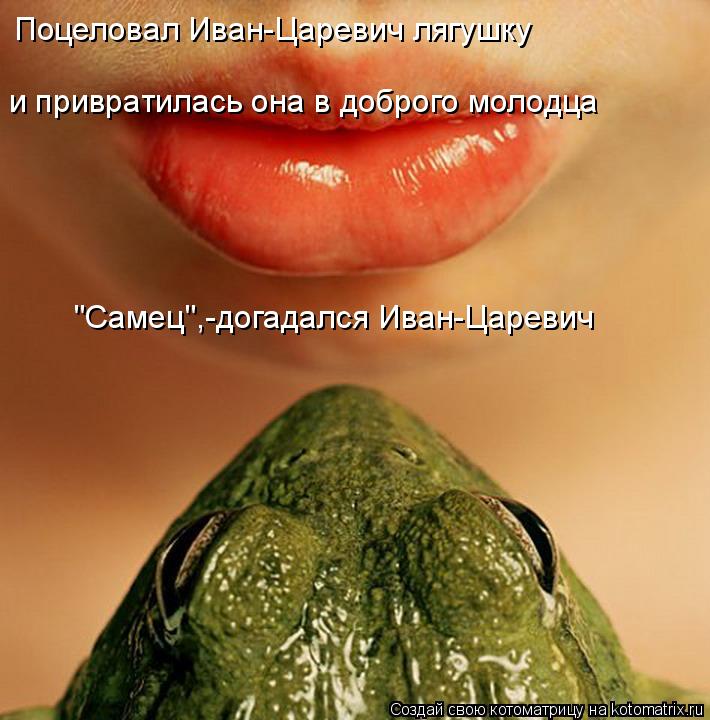 Поцеловал Иван-Царевич лягушку и привратилась она в доброго молодца "Самец",-догадался Иван-Царевич... Котоматрица: Поцеловал Иван-Царевич лягушку и привратилась она в доброго молодца "Самец",-догадался Иван-Царевич