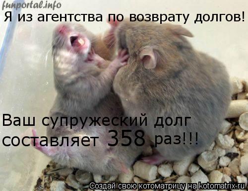 Я из агентства по возврату долгов! Ваш супружеский долг составляет 358 раз!!!... Котоматрица: Я из агентства по возврату долгов! Ваш супружеский долг составляет 358 раз!!!