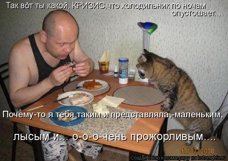 Котоматрица: Так в&#242;т ты какой, КРИЗИС,что холодильник по ночам опустошает... Почему-то я тебя таким и представляла,-маленьким, лысым и... о-о-о-чень прожор