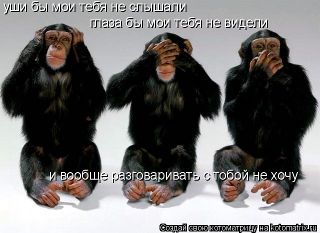 Котоматрица: уши бы мои тебя не слышали глаза бы мои тебя не видели и вообще разговаривать с тобой не хочу