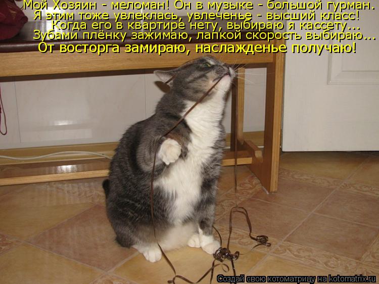 Мой Хозяин - меломан! Он в музыке - большой гурман. Я этим тоже увлеклась, увлеченье - высший класс! ... Котоматрица: Мой Хозяин - меломан! Он в музыке - большой гурман. Я этим тоже увлеклась, увлеченье - высший класс! Когда его в квартире нету, выбираю я кассет