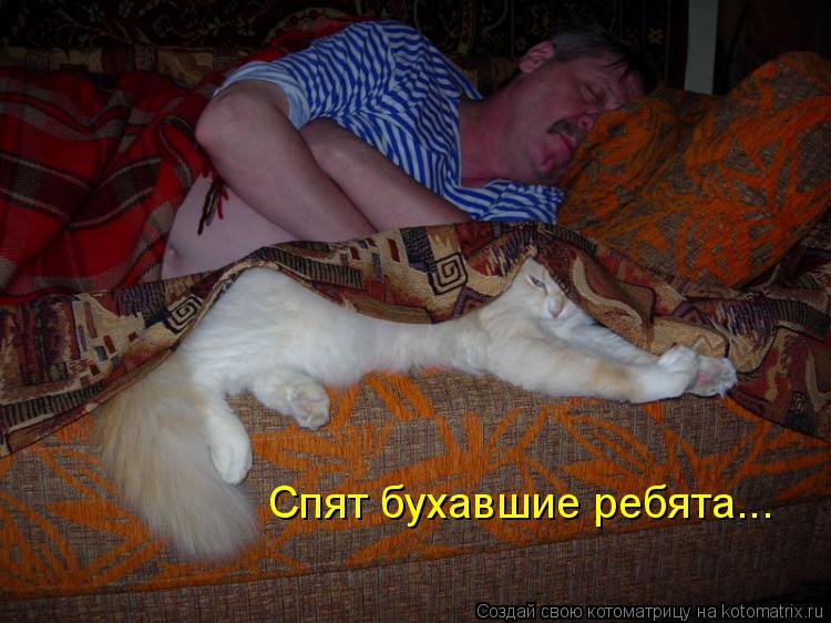 Спят бухавшие ребята...... Котоматрица: Спят бухавшие ребята...