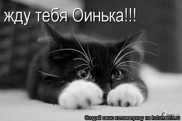 жду тебя Оинька!!!... Котоматрица: жду тебя Оинька!!!