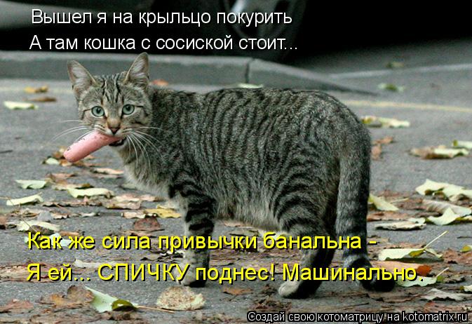 Вышел я на крыльцо покурить А там кошка с сосиской стоит... Как же сила привычки банальна - Я ей... С... Котоматрица: Вышел я на крыльцо покурить А там кошка с сосиской стоит... Как же сила привычки банальна - Я ей... СПИЧКУ поднес! Машинально.