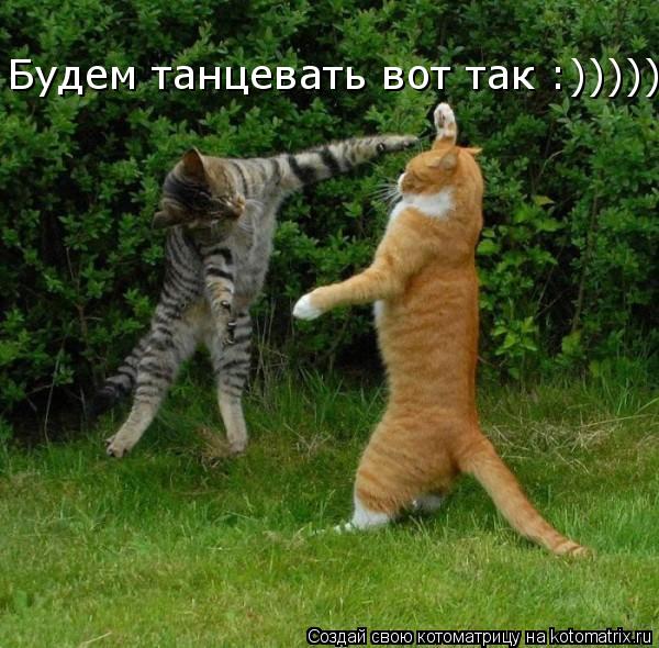 Будем танцевать вот так :)))))... Котоматрица: Будем танцевать вот так :)))))