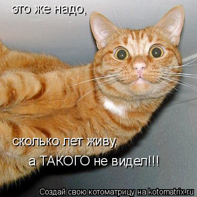Котоматрица: это же надо, сколько лет живу,  а ТАКОГО не видел!!!