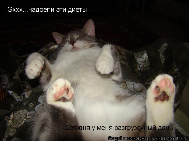 Как хорошо спать днем Как хорошо спать днем