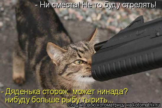 Котоматрица: - Ни сместа! Не то буду стрелять! - Дяденька сторож, может нинада?  нибуду больше рыбу тырить...