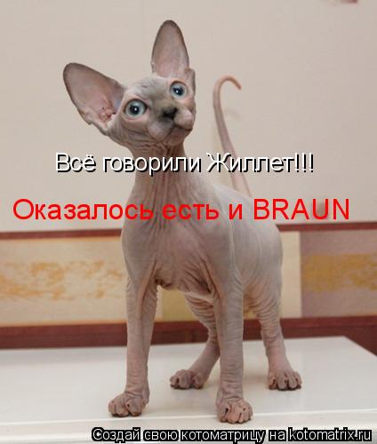 Всё говорили Жиллет!!! Оказалось есть и BRAUN Оказалось есть и BRAUN... Котоматрица: Всё говорили Жиллет!!! Оказалось есть и BRAUN Оказалось есть и BRAUN