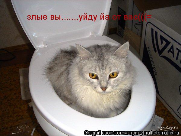 злые вы.......уйду йа от вас(((=... Котоматрица: злые вы.......уйду йа от вас(((=
