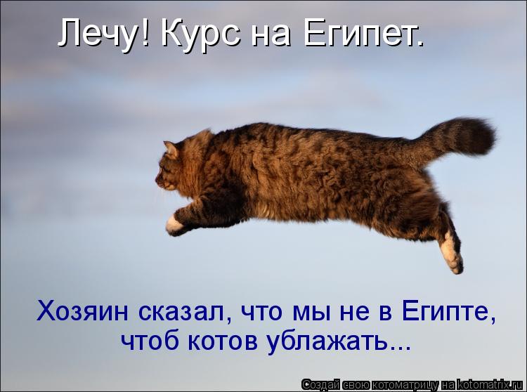 Котоматрица: Лечу! Курс на Египет. Хозяин сказал, что мы не в Египте, чтоб котов ублажать...