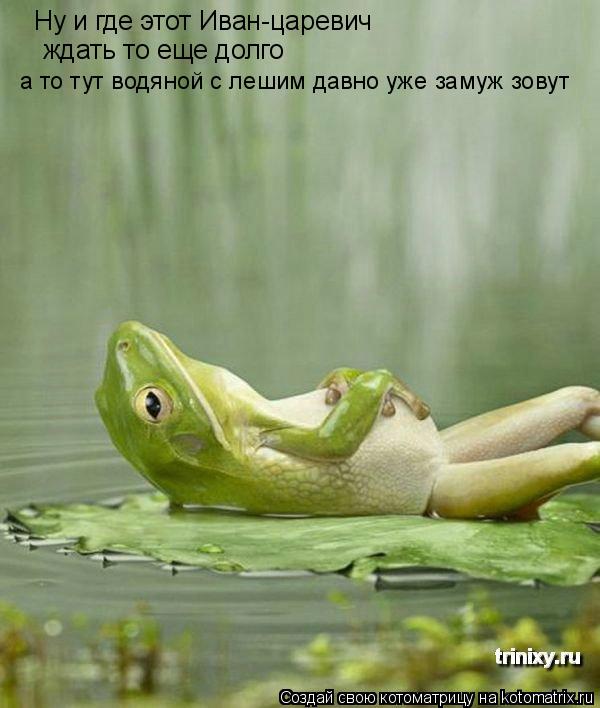 Ну и где этот Иван-царевич ждать то еще долго а то тут водяной с лешим давно уже замуж зовут... Котоматрица: Ну и где этот Иван-царевич ждать то еще долго а то тут водяной с лешим давно уже замуж зовут