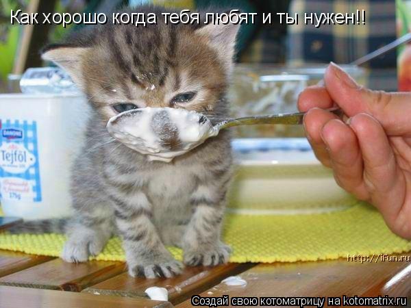 Как хорошо когда тебя любят и ты нужен!!... Котоматрица: Как хорошо когда тебя любят и ты нужен!!