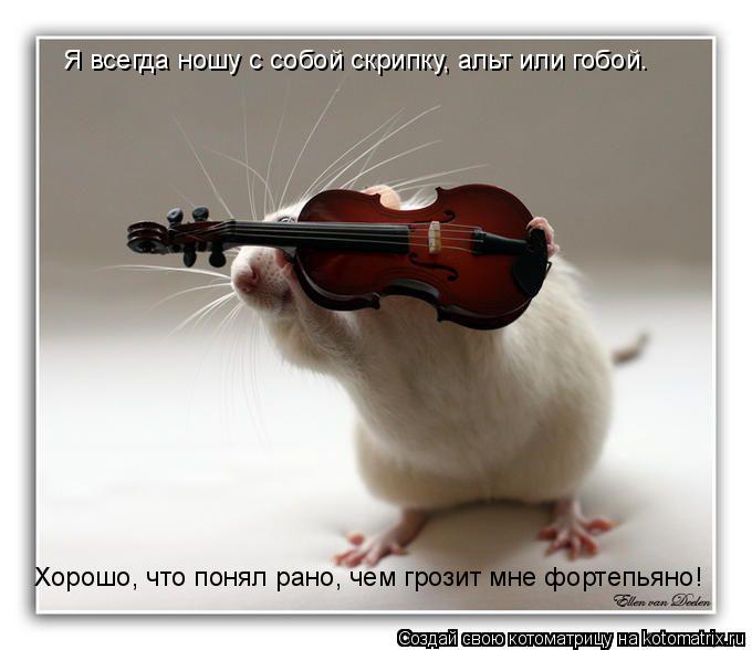Я всегда ношу с собой скрипку, альт или гобой. Хорошо, что понял рано, чем грозит мне фортепьяно!... Котоматрица: Я всегда ношу с собой скрипку, альт или гобой. Хорошо, что понял рано, чем грозит мне фортепьяно!