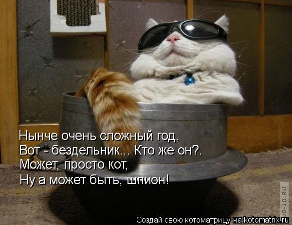 Нынче очень сложный год. Вот - бездельник... Кто же он?. Может, просто кот, Ну а может быть, шпион!... Котоматрица: Нынче очень сложный год. Вот - бездельник... Кто же он?. Может, просто кот, Ну а может быть, шпион!