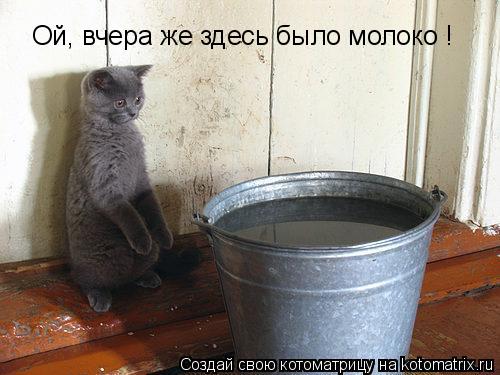 Ой, вчера же здесь было молоко !... Котоматрица: Ой, вчера же здесь было молоко !