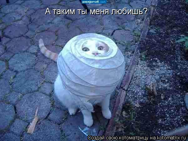 А таким ты меня любишь?... Котоматрица: А таким ты меня любишь?