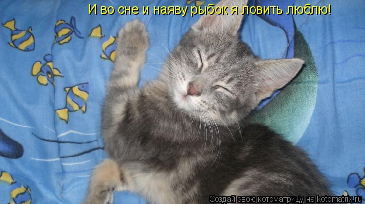 И во сне и наяву рыбок я ловить люблю!... Котоматрица: И во сне и наяву рыбок я ловить люблю!