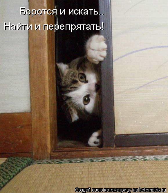 Боротся и искать... Найти и перепрятать!... Котоматрица: Боротся и искать... Найти и перепрятать!