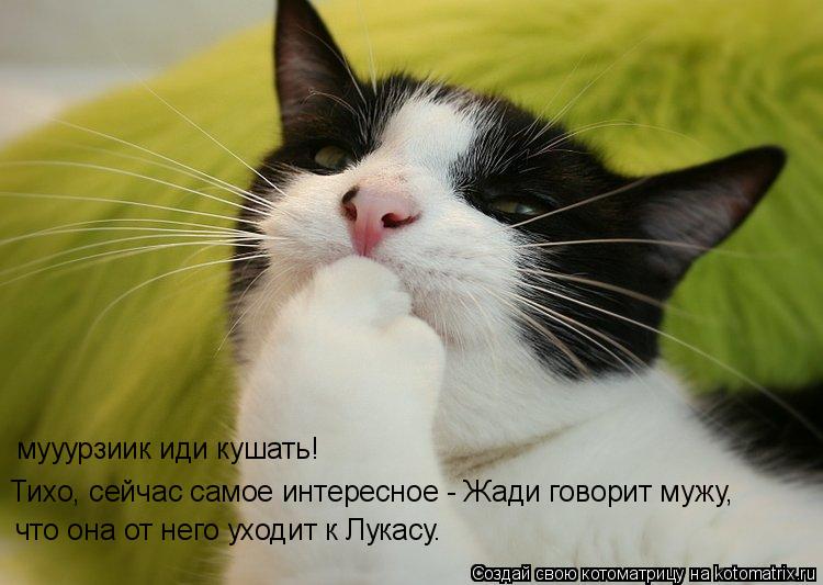 Котоматрица: мууурзиик иди кушать! Тихо, сейчас самое интересное - Жади говорит мужу, что она от него уходит к Лукасу.