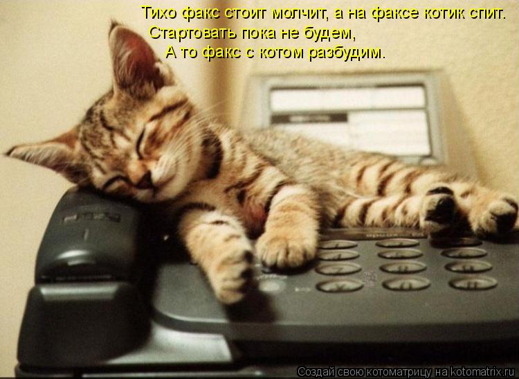 Котоматрица: Тихо факс стоит молчит, а на факсе котик спит. Стартовать пока не будем,  А то факс с котом разбудим.