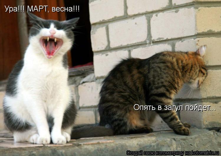 Ура!!! МАРТ, весна!!! Опять в загул пойдет...... Котоматрица: Ура!!! МАРТ, весна!!! Опять в загул пойдет...