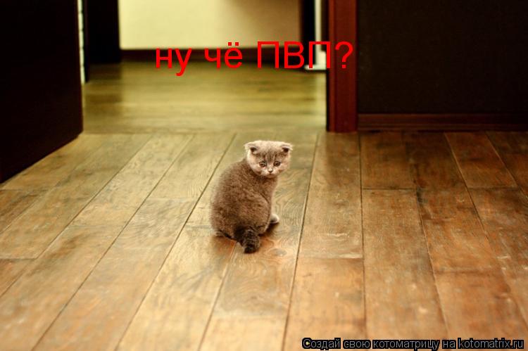 Котоматрица: ну чё ПВП?