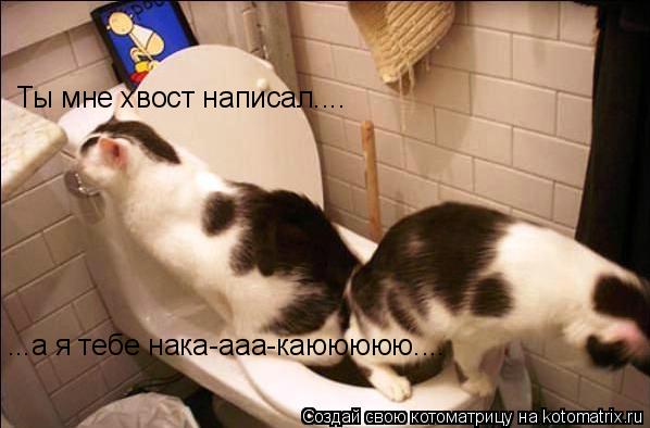 Ты мне хвост написал.... ...а я тебе нака-ааа-каююююю....... Котоматрица: Ты мне хвост написал.... ...а я тебе нака-ааа-каююююю....