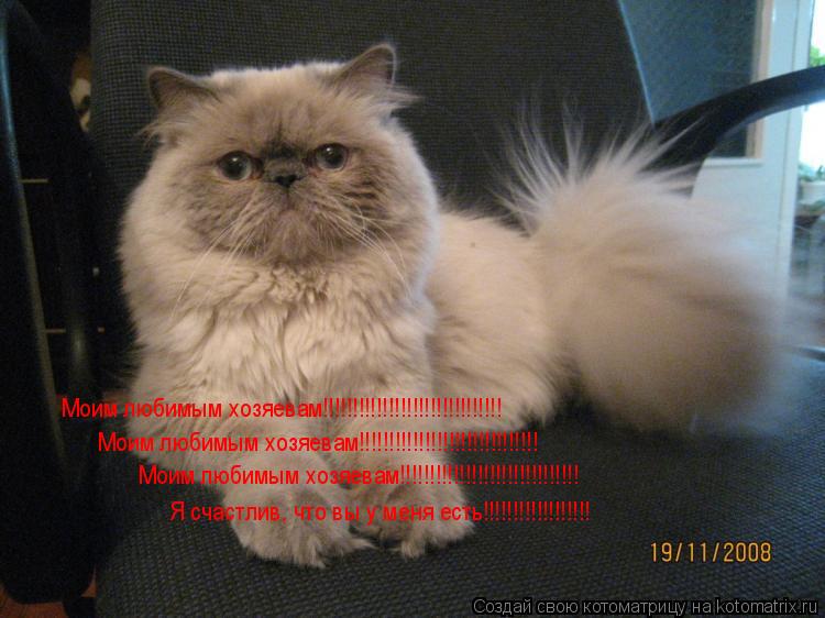 Моим любимым хозяевам!!!!!!!!!!!!!!!!!!!!!!!!!!!!!! Моим любимым хозяевам!!!!!!!!!!!!!!!!!!!!!!!!!!!... Котоматрица: Моим любимым хозяевам!!!!!!!!!!!!!!!!!!!!!!!!!!!!!! Моим любимым хозяевам!!!!!!!!!!!!!!!!!!!!!!!!!!!!!! Моим любимым хозяевам!!!!!!!!!!!!!!!!!!!!!!!