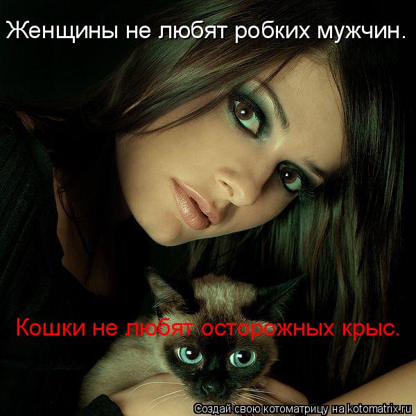 Котоматрица: Женщины не любят робких мужчин. Кошки не любят осторожных крыс.