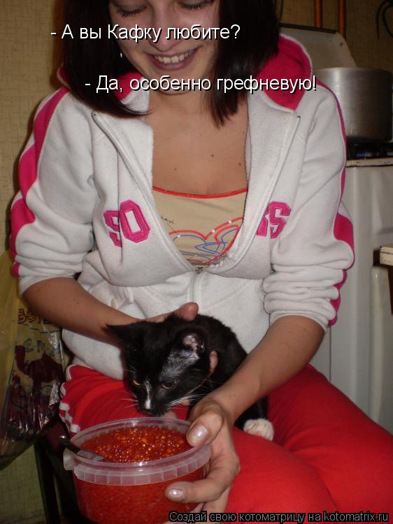 - А вы Кафку любите? - Да, особенно грефневую!... Котоматрица: - А вы Кафку любите? - Да, особенно грефневую!