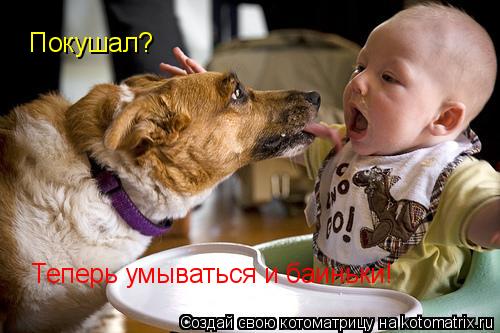 Покушал? Теперь умываться и баиньки!... Котоматрица: Покушал? Теперь умываться и баиньки!