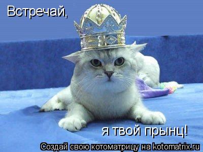 Встречай, я твой прынц!... Котоматрица: Встречай, я твой прынц!