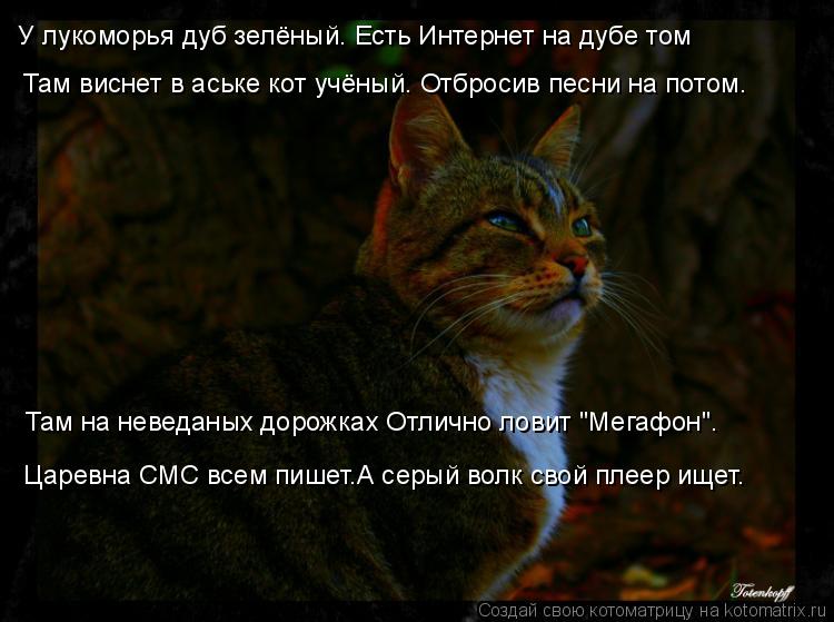 Рубки ухода за молодняками осветление Рубки ухода за молодняками осветление
