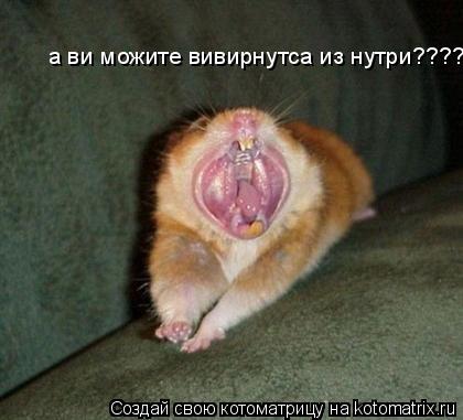 а ви можите вивирнутса из нутри????... Котоматрица: а ви можите вивирнутса из нутри????