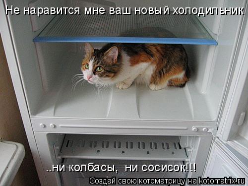 Не наравится мне ваш новый холодильник ..ни колбасы, ни сосисок!!!... Котоматрица: Не наравится мне ваш новый холодильник ..ни колбасы, ни сосисок!!!