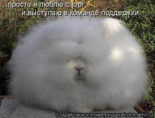 ...просто я люблю спорт и выступаю в команде поддержки...... Котоматрица: ...просто я люблю спорт и выступаю в команде поддержки...