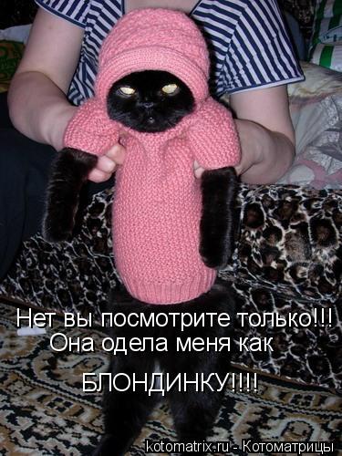 Нет вы посмотрите только!!! Она одела меня как БЛОНДИНКУ!!!!... Котоматрица: Нет вы посмотрите только!!! Она одела меня как БЛОНДИНКУ!!!!