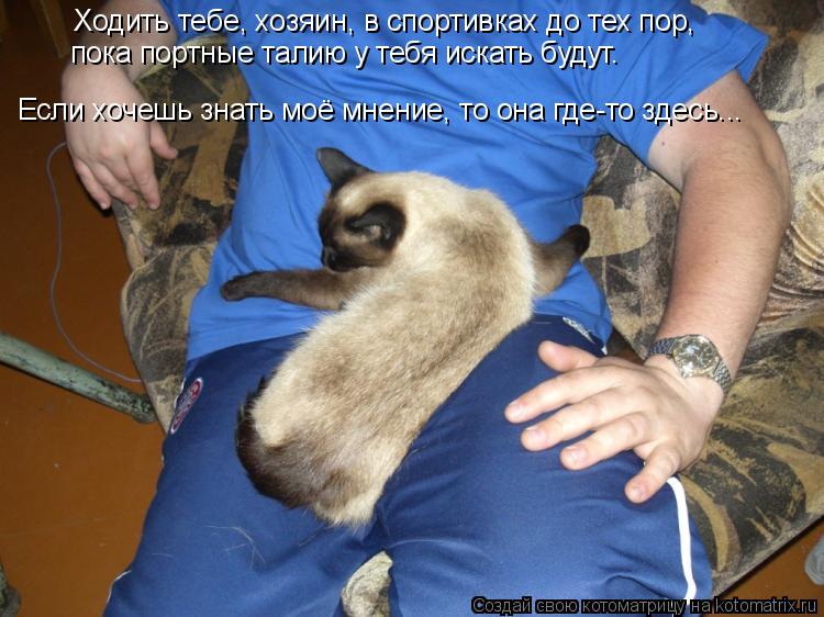 Ходить тебе, хозяин, в спортивках до тех пор, пока портные талию у тебя искать будут. Если хочешь зна... Котоматрица: Ходить тебе, хозяин, в спортивках до тех пор, пока портные талию у тебя искать будут. Если хочешь знать моё мнение, то она где-то здесь...