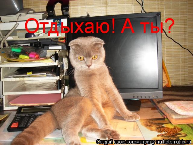 Отдыхаю! А ты?... Котоматрица: Отдыхаю! А ты?