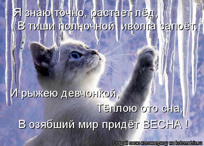 Котоматрица: Я знаю точно, растает лёд,  В тиши полночной  иволга запоёт. И рыжею девчонкой, Тёплою ото сна, В озябший мир придёт ВЕСНА !