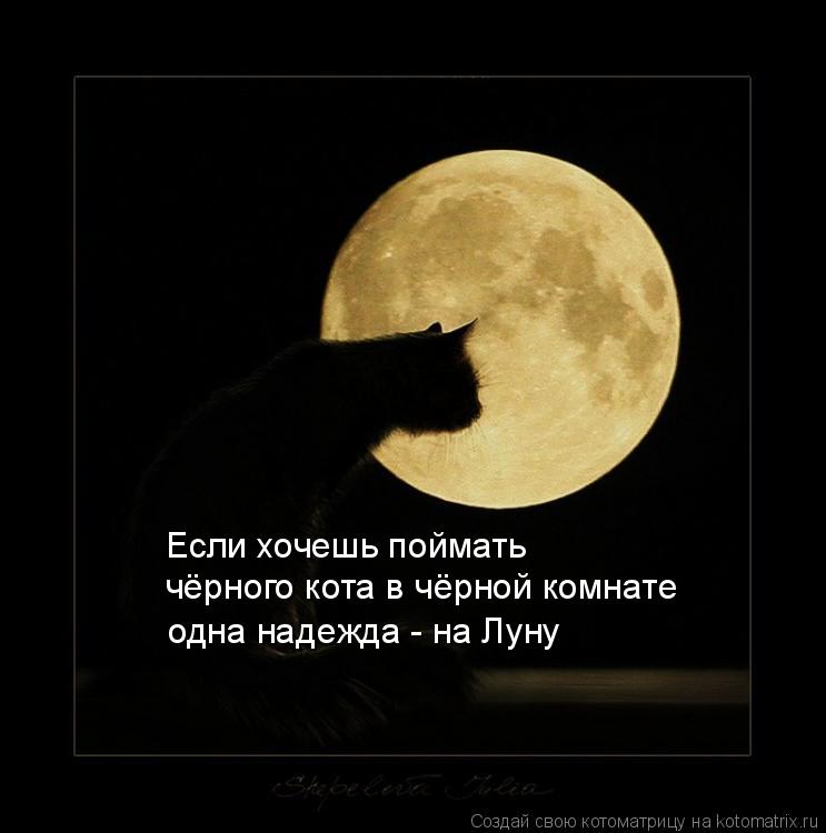 Если хочешь поймать чёрного кота в чёрной комнате одна надежда - на Луну... Котоматрица: Если хочешь поймать чёрного кота в чёрной комнате одна надежда - на Луну