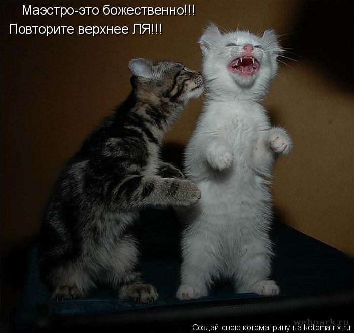 Маэстро-это божественно!!! Повторите верхнее ЛЯ!!!... Котоматрица: Маэстро-это божественно!!! Повторите верхнее ЛЯ!!!