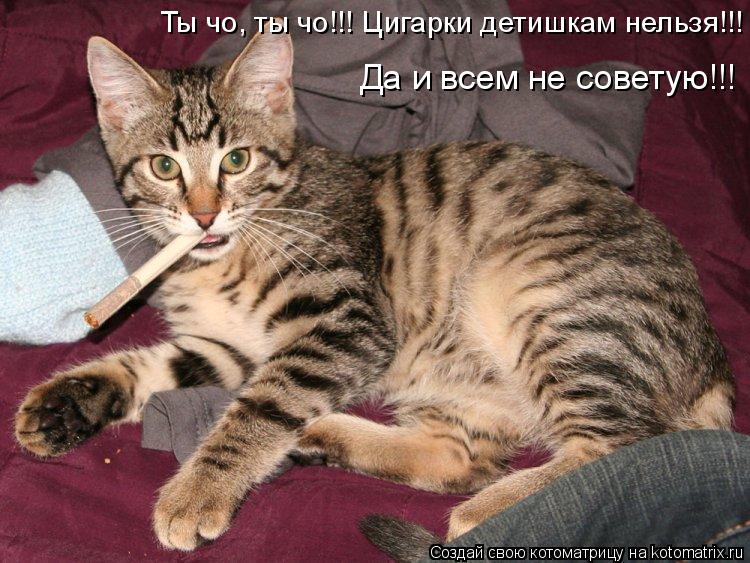 Ты чо, ты чо!!! Цигарки детишкам нельзя!!! Да и всем не советую!!!... Котоматрица: Ты чо, ты чо!!! Цигарки детишкам нельзя!!! Да и всем не советую!!!