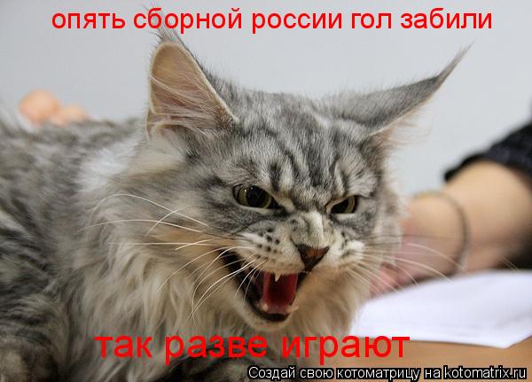 опять сборной россии гол забили так разве играют... Котоматрица: опять сборной россии гол забили так разве играют