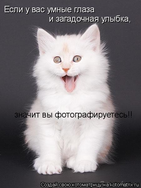 Если у вас умные глаза и загадочная улыбка, значит вы фотографируетесь!!... Котоматрица: Если у вас умные глаза и загадочная улыбка, значит вы фотографируетесь!!